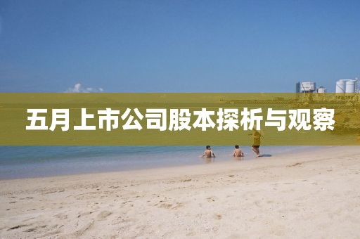 五月上市公司股本探析与观察