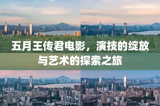 五月王传君电影，演技的绽放与艺术的探索之旅