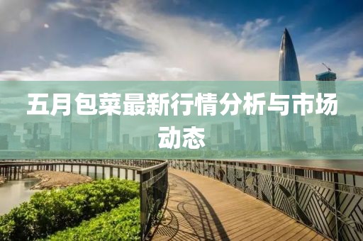 五月包菜最新行情分析与市场动态