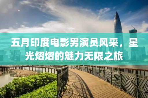 五月印度电影男演员风采，星光熠熠的魅力无限之旅