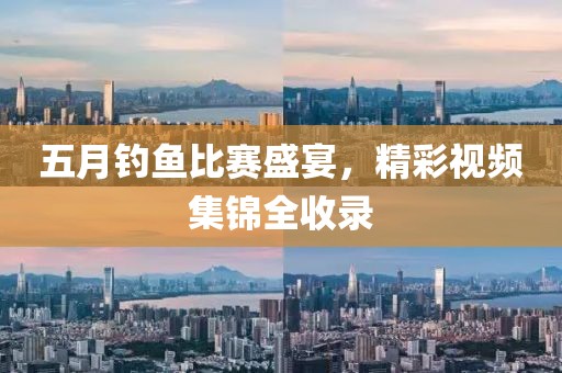 五月钓鱼比赛盛宴，精彩视频集锦全收录