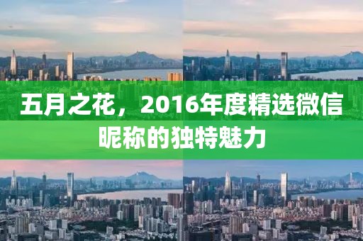 五月之花，2016年度精选微信昵称的独特魅力