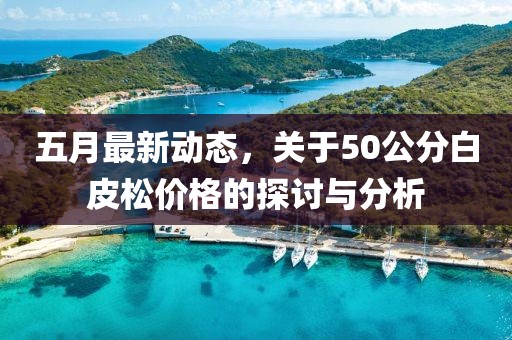 五月最新动态，关于50公分白皮松价格的探讨与分析