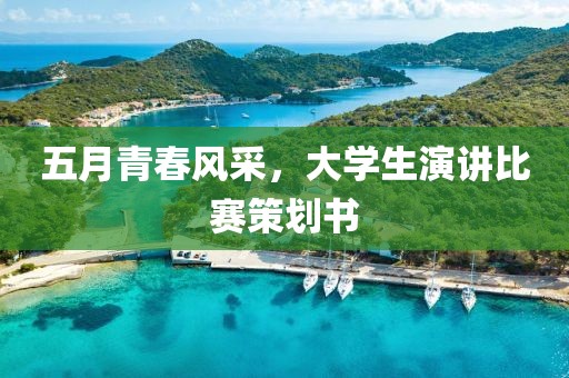 五月青春风采，大学生演讲比赛策划书