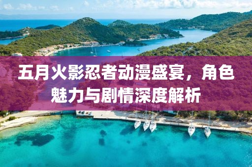 五月火影忍者动漫盛宴，角色魅力与剧情深度解析