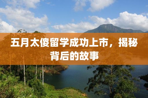 五月太傻留学成功上市，揭秘背后的故事