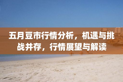 五月豆市行情分析，机遇与挑战并存，行情展望与解读