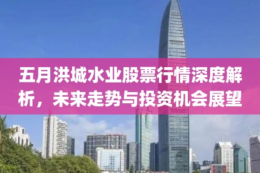 五月洪城水业股票行情深度解析，未来走势与投资机会展望