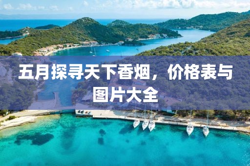 五月探寻天下香烟，价格表与图片大全