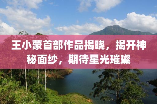 王小蒙首部作品揭晓，揭开神秘面纱，期待星光璀璨
