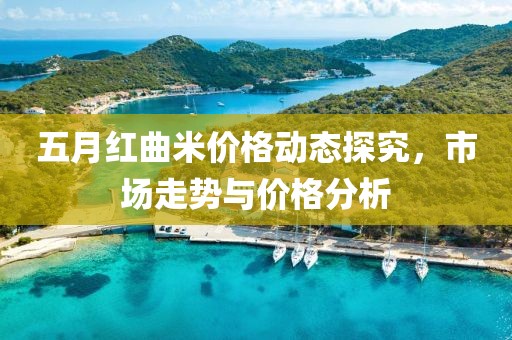 五月红曲米价格动态探究，市场走势与价格分析