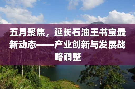 五月聚焦，延长石油王书宝最新动态——产业创新与发展战略调整