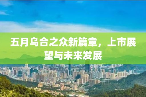 五月乌合之众新篇章，上市展望与未来发展