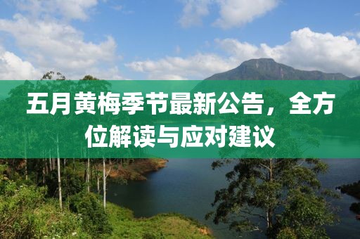 五月黄梅季节最新公告，全方位解读与应对建议
