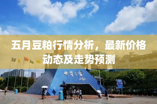 五月豆粕行情分析，最新价格动态及走势预测