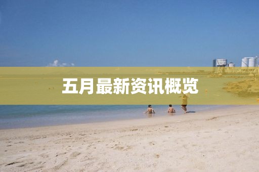 五月最新资讯概览