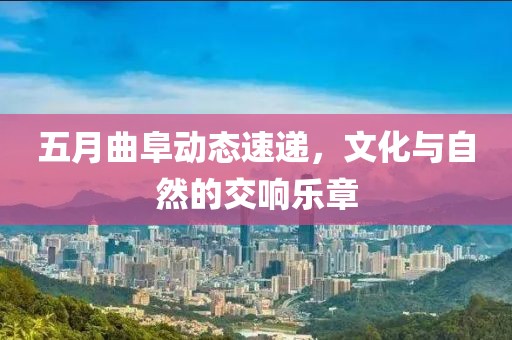 五月曲阜动态速递，文化与自然的交响乐章