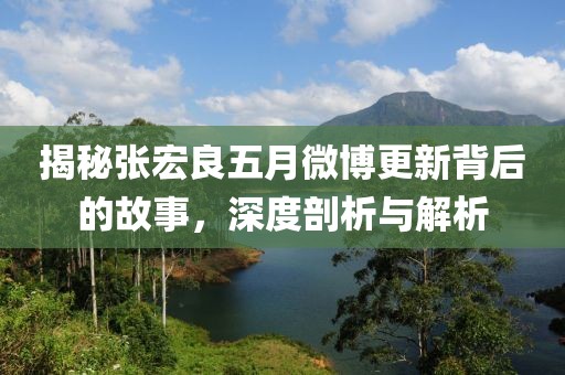 揭秘张宏良五月微博更新背后的故事，深度剖析与解析