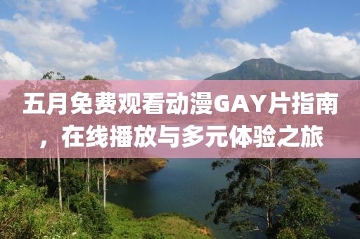 五月免费观看动漫GAY片指南，在线播放与多元体验之旅