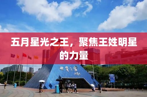 五月星光之王，聚焦王姓明星的力量