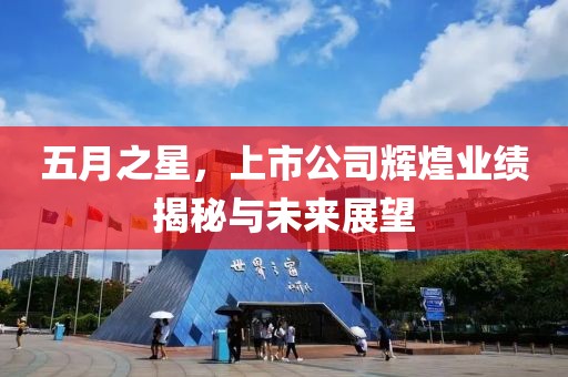 五月之星，上市公司辉煌业绩揭秘与未来展望