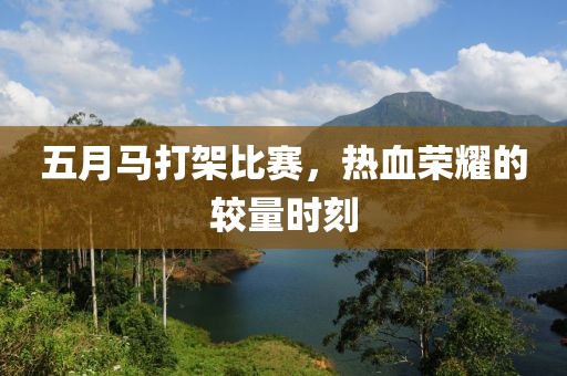 五月马打架比赛，热血荣耀的较量时刻