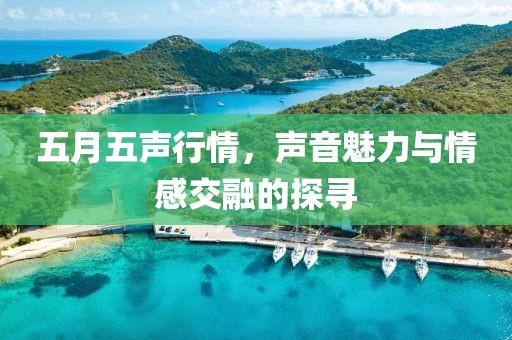 五月五声行情，声音魅力与情感交融的探寻