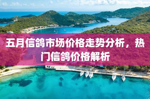 五月信鸽市场价格走势分析，热门信鸽价格解析