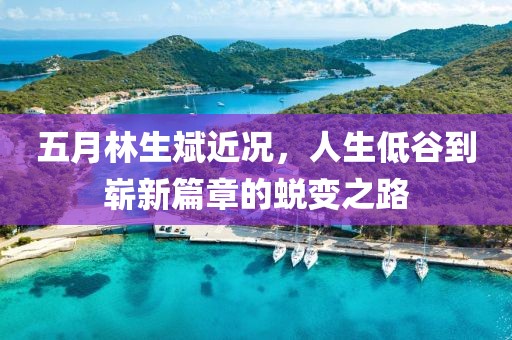 五月林生斌近况，人生低谷到崭新篇章的蜕变之路