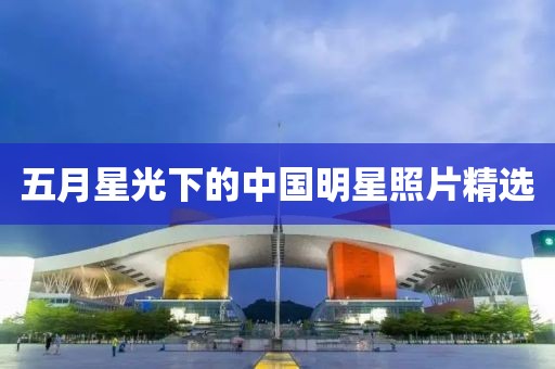 五月星光下的中国明星照片精选