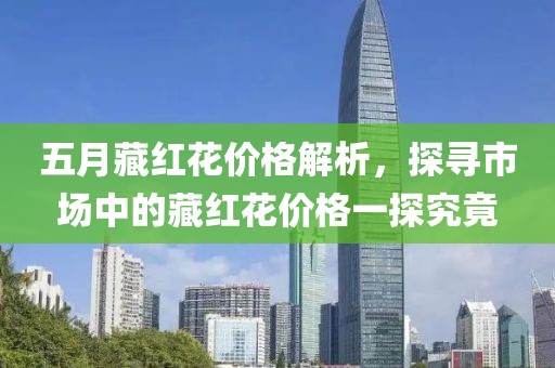 五月藏红花价格解析，探寻市场中的藏红花价格一探究竟
