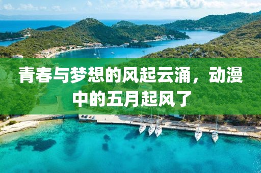 青春与梦想的风起云涌，动漫中的五月起风了