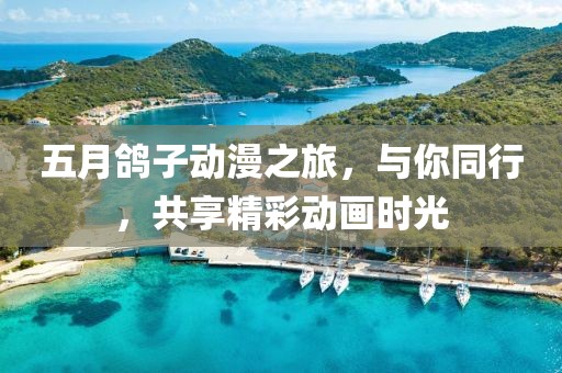 五月鸽子动漫之旅，与你同行，共享精彩动画时光