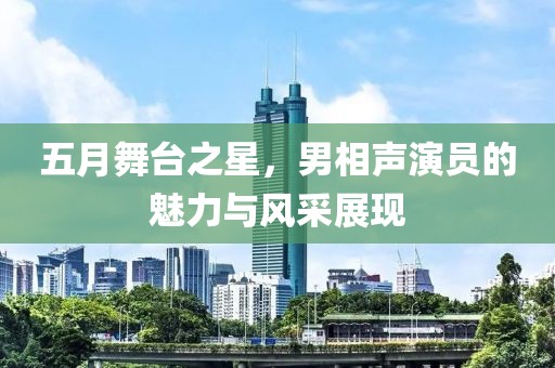 五月舞台之星，男相声演员的魅力与风采展现