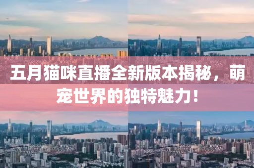 五月猫咪直播全新版本揭秘，萌宠世界的独特魅力！
