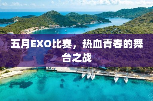 五月EXO比赛，热血青春的舞台之战