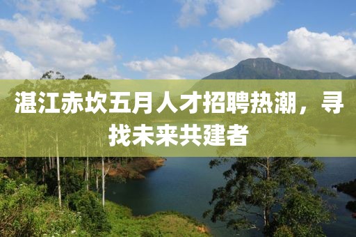 湛江赤坎五月人才招聘热潮，寻找未来共建者