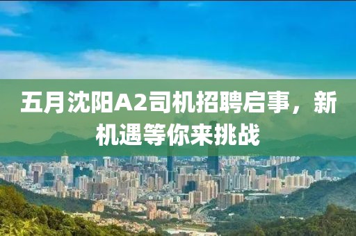 五月沈阳A2司机招聘启事，新机遇等你来挑战