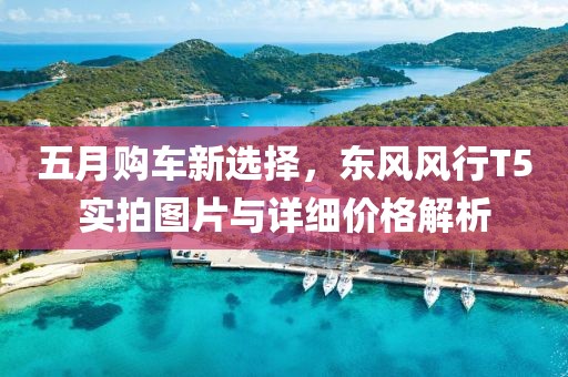 五月购车新选择，东风风行T5实拍图片与详细价格解析