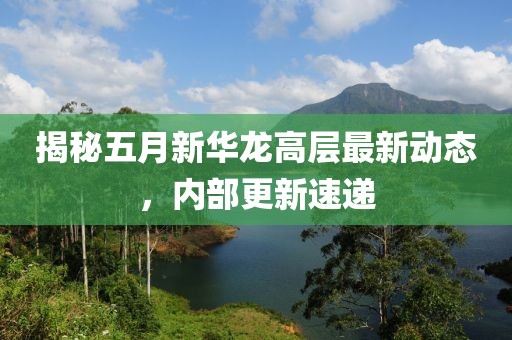 揭秘五月新华龙高层最新动态，内部更新速递