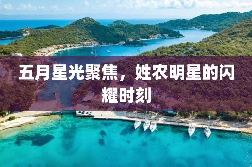 五月星光聚焦，姓农明星的闪耀时刻