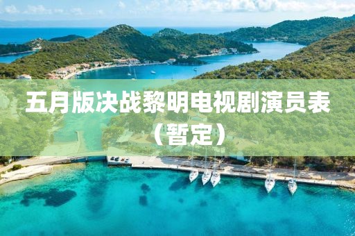 五月版决战黎明电视剧演员表（暂定）