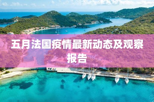 五月法国疫情最新动态及观察报告