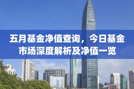 五月基金净值查询，今日基金市场深度解析及净值一览