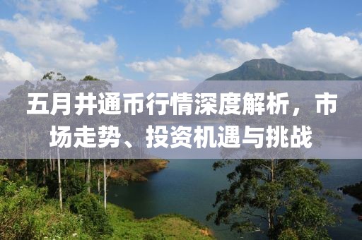 五月井通币行情深度解析，市场走势、投资机遇与挑战