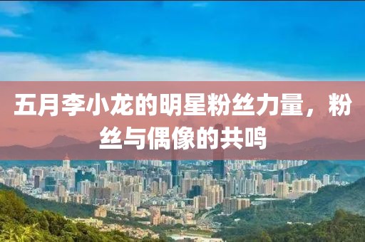 五月李小龙的明星粉丝力量，粉丝与偶像的共鸣