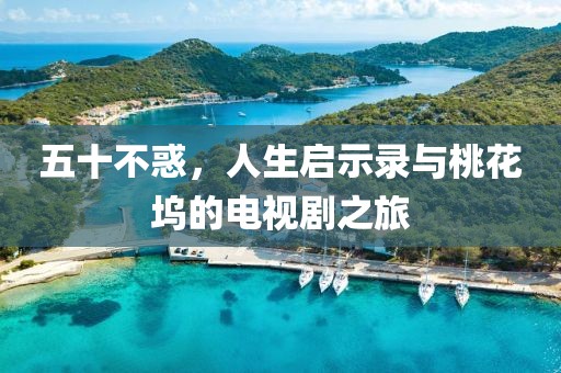 五十不惑，人生启示录与桃花坞的电视剧之旅