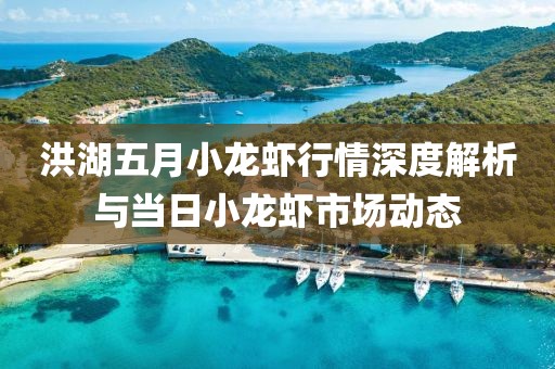 洪湖五月小龙虾行情深度解析与当日小龙虾市场动态