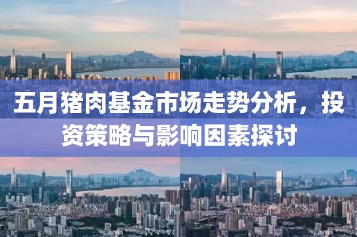五月猪肉基金市场走势分析，投资策略与影响因素探讨