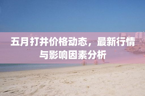 五月打井价格动态，最新行情与影响因素分析